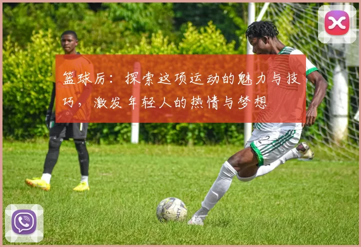 篮球厉：探索这项运动的魅力与技巧，激发年轻人的热情与梦想