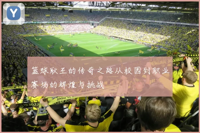 篮球耿王的传奇之路从校园到职业赛场的辉煌与挑战