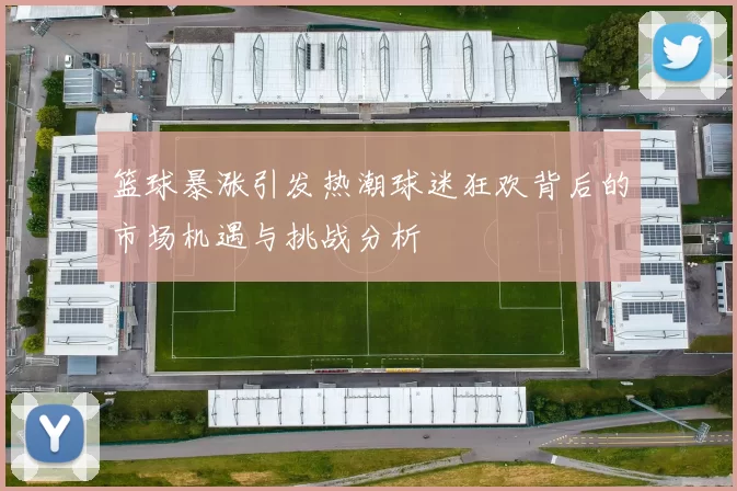 篮球暴涨引发热潮球迷狂欢背后的市场机遇与挑战分析